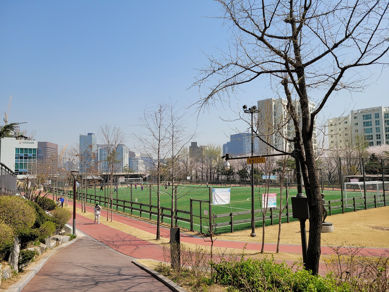 冠指日可待