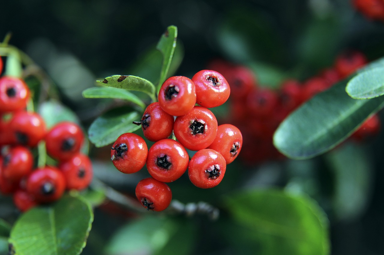 员的内心抗 员的内心抗