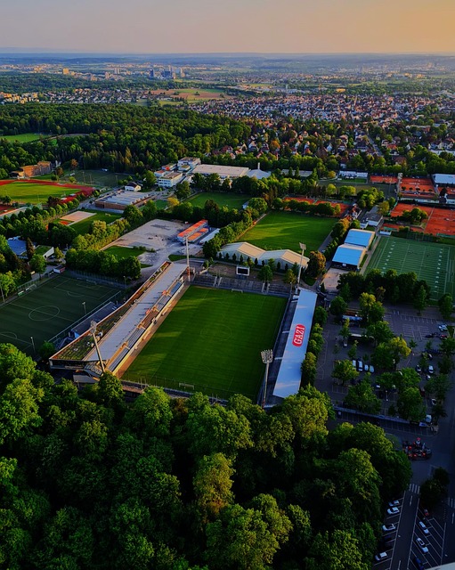 经验丰富的 经验丰富的