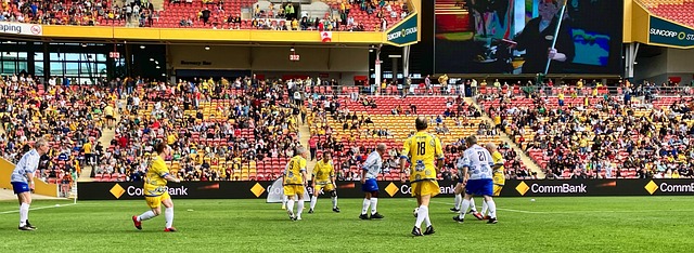 经验丰富的 经验丰富的