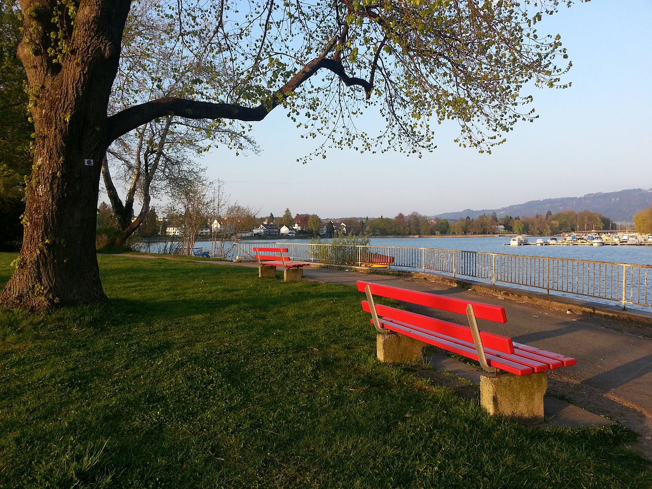 出更强的决 出更强的决