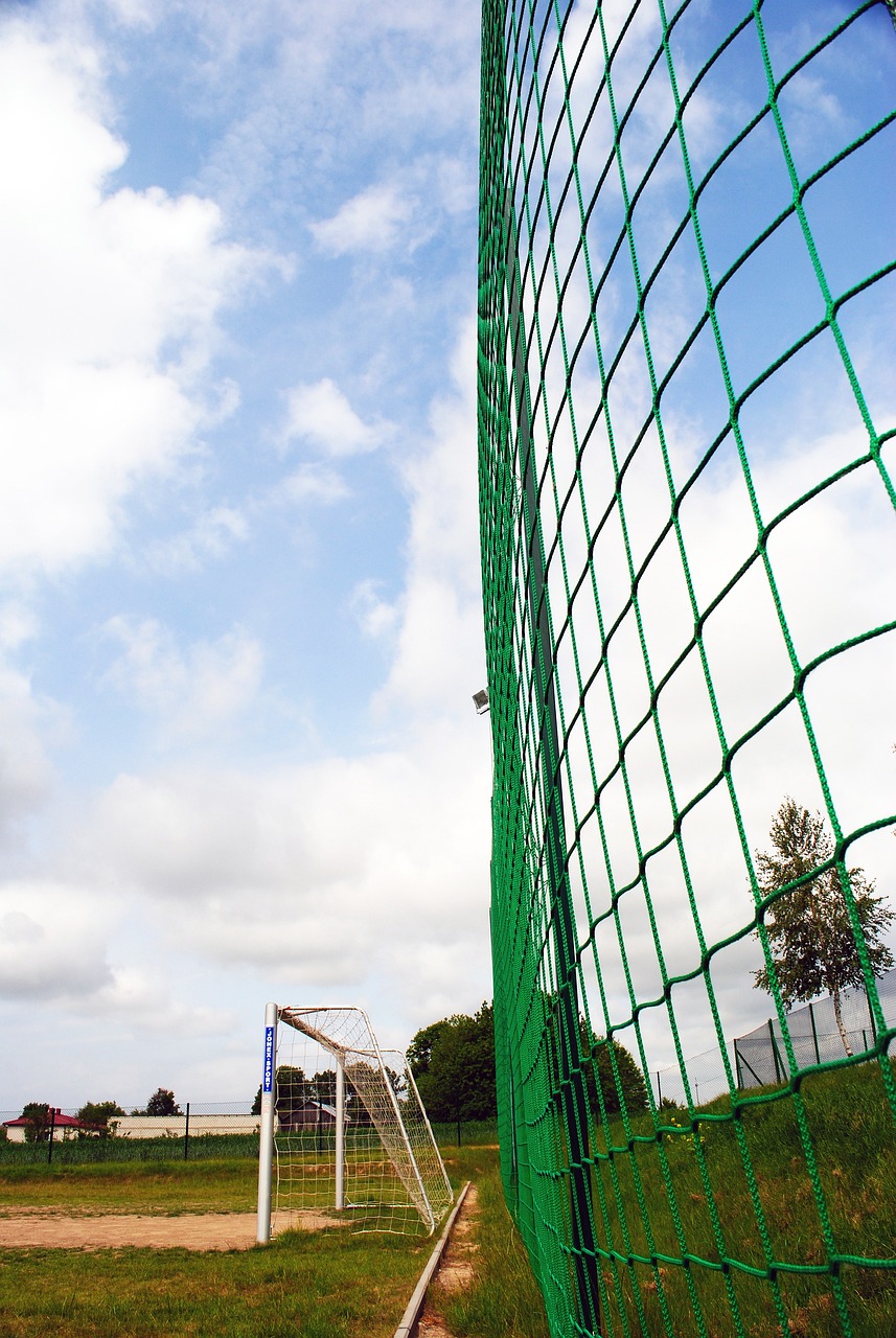 仅震撼了赛 仅震撼了赛